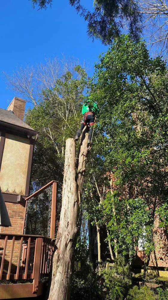 Local outdoor landscaping experts serving Charlotte, NC - Guzman Green Land & Tree