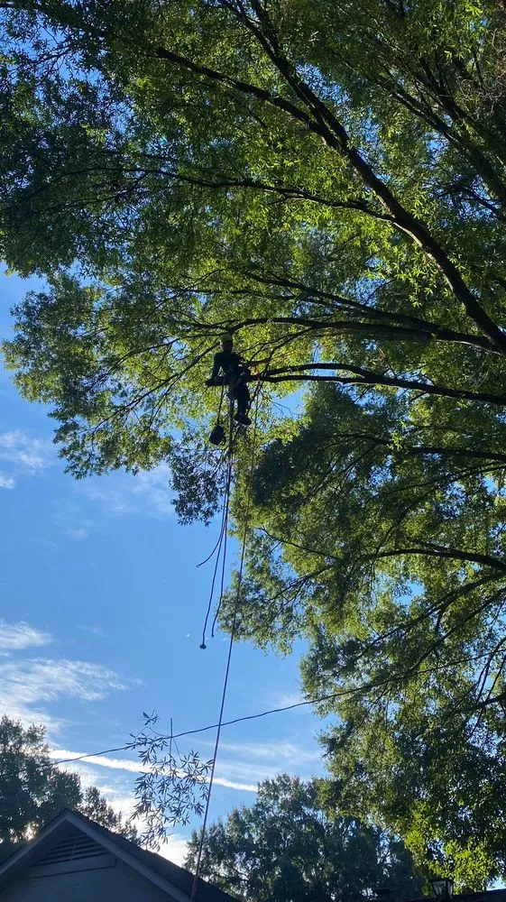 Custom yard cleanup service for outdoor upgrades across Charlotte, NC - Guzman Green Land & Tree