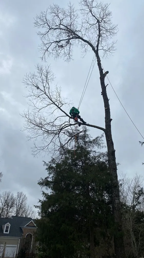 Custom landscape design in Charlotte, NC by Guzman Green Land & Tree