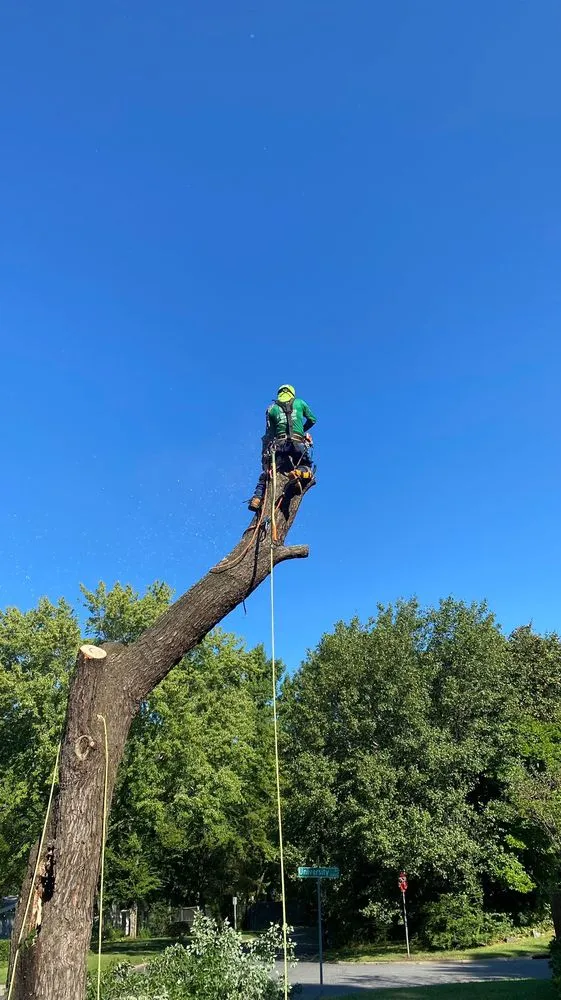 Custom lawn care service for residential properties across Charlotte, NC - Guzman Green Land & Tree