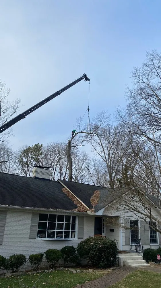 Custom landscaping services for homes in Charlotte, NC by Guzman Green Land & Tree