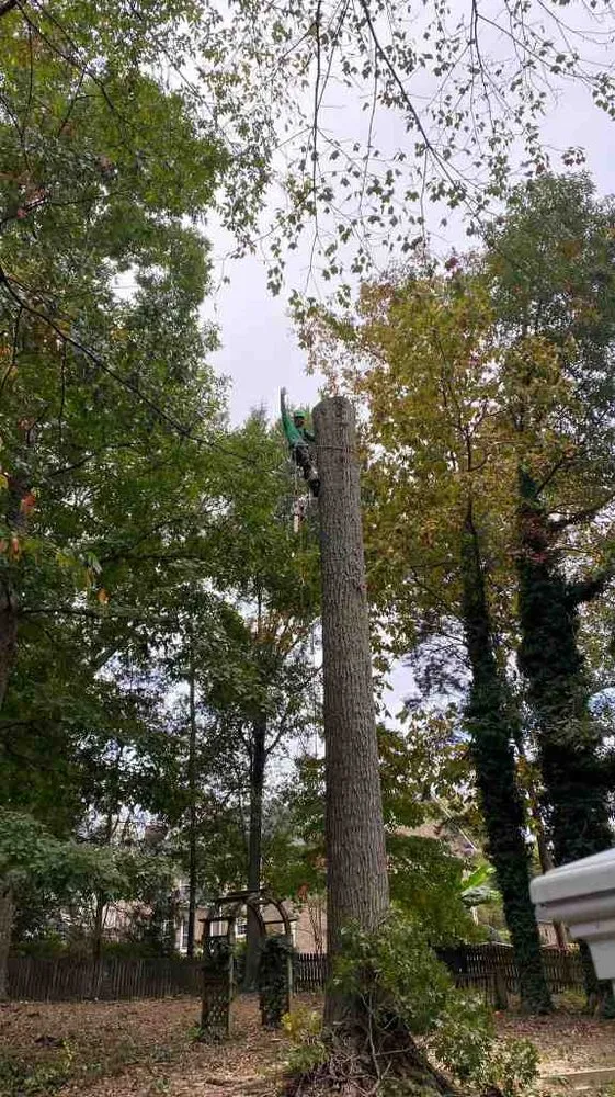 Trusted residential landscaping experts serving Charlotte, NC - Guzman Green Land & Tree