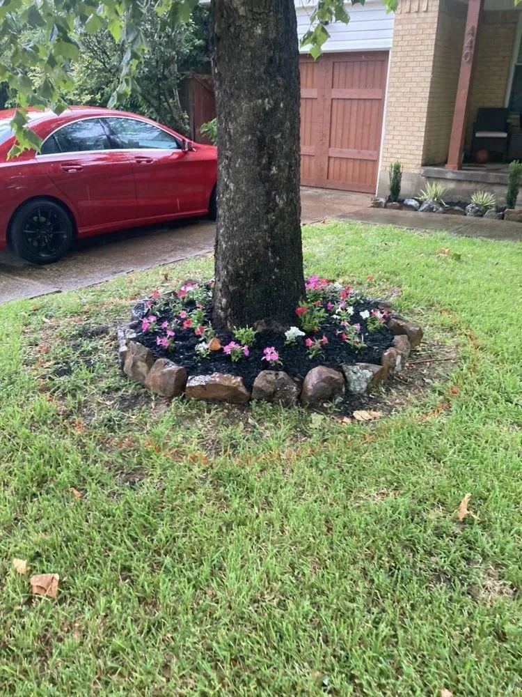 Professional landscaping services in Plano, TX by Guzman Irrigation + Landscape