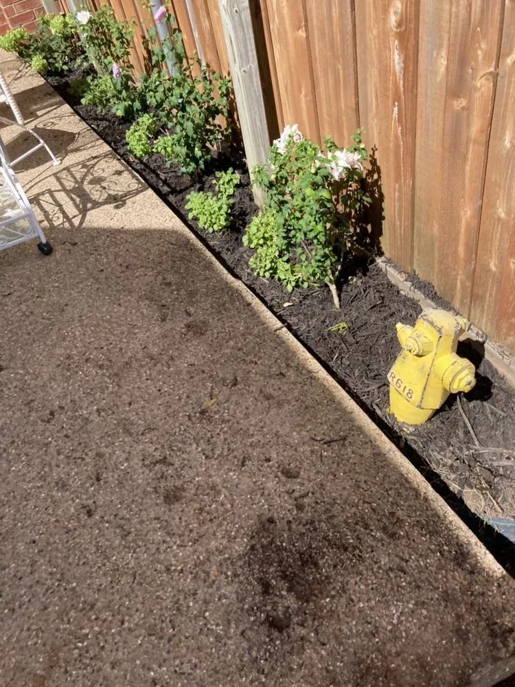 Expert landscape design in Plano, TX - Guzman Irrigation + Landscape