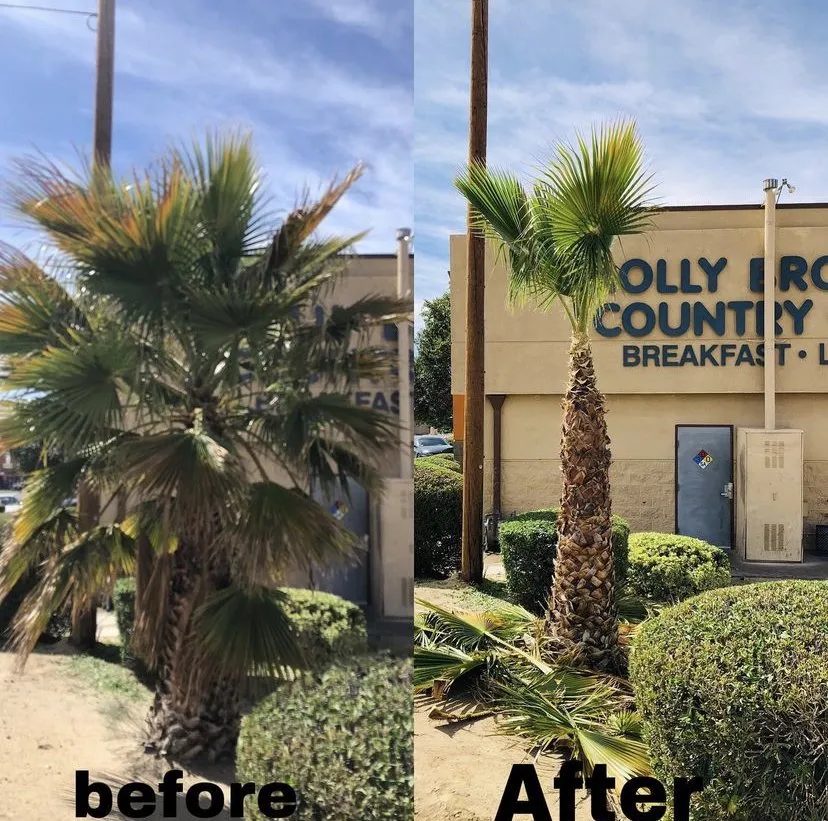 Professional landscape design for residential properties across Victorville, CA - Guzman Landscape Service