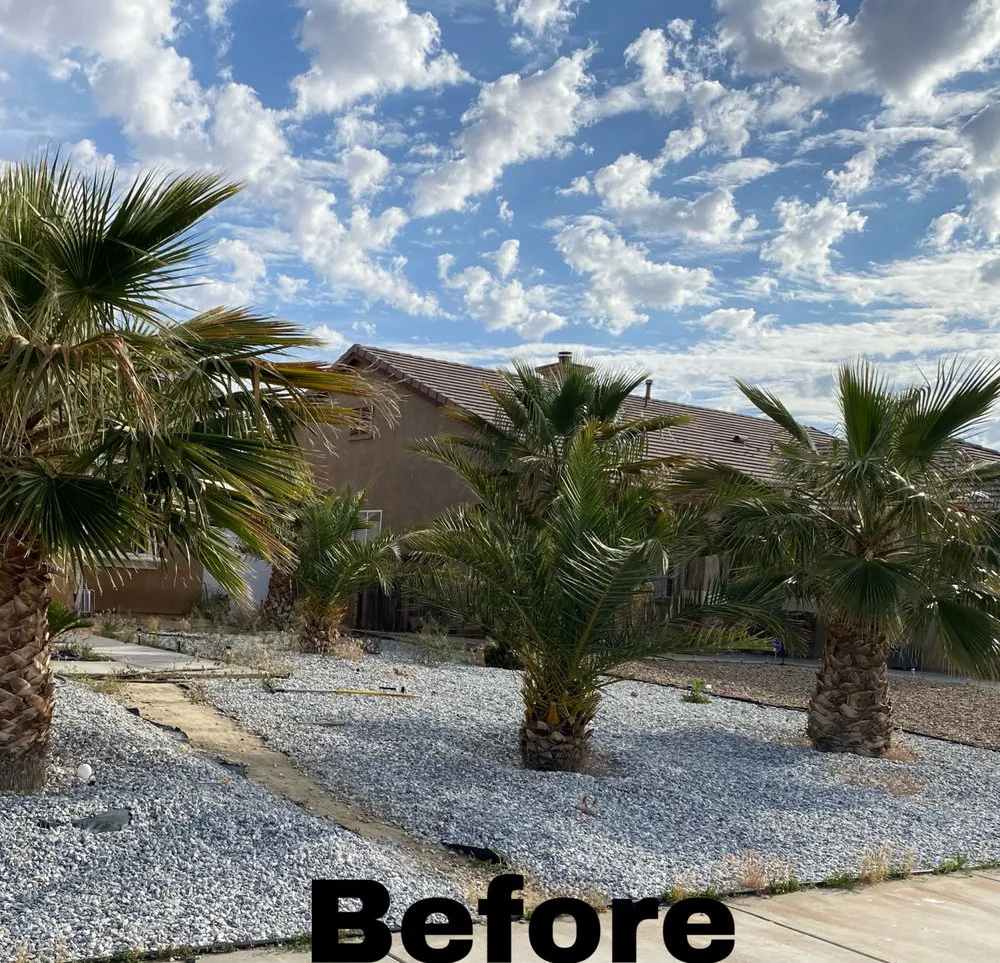 Affordable lawn care service experts serving Victorville, CA - Guzman Landscape Service