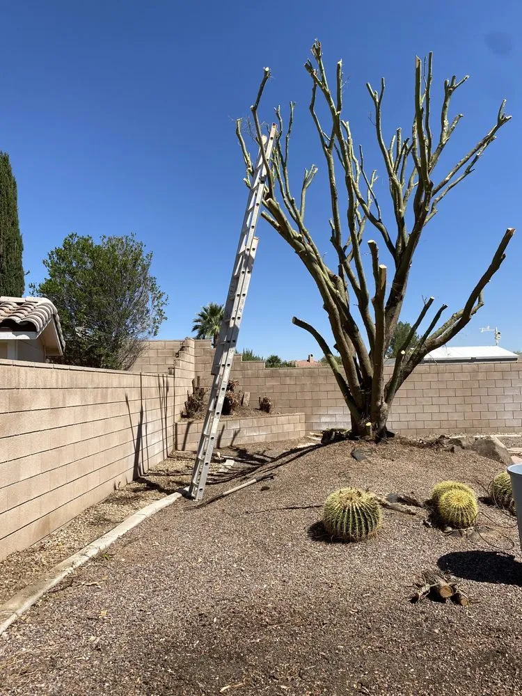 Expert yard cleanup service in Victorville, CA - Guzman Landscape Service