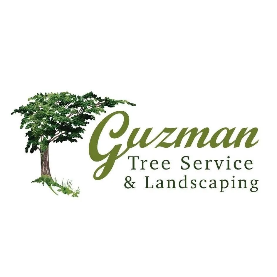 Affordable landscape installation for residential properties in Escalon, CA by Guzman Landscaping & Tree services