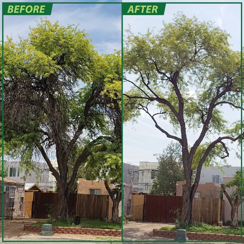 Professional residential landscaping with custom design in Escalon, CA by Guzman Landscaping & Tree services