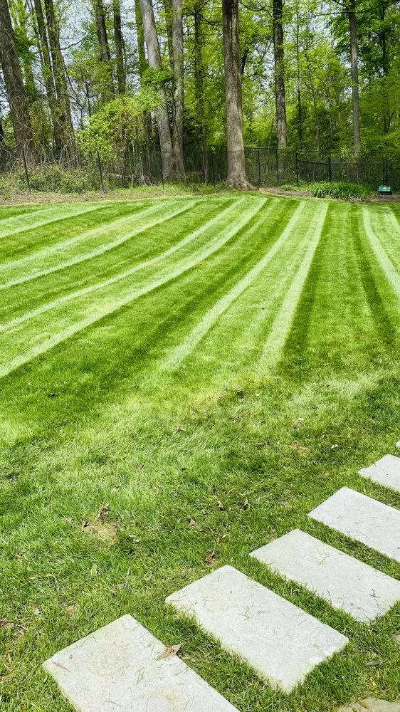 Local yard cleanup service with custom design across Annandale, VA - Guzman Landscaping