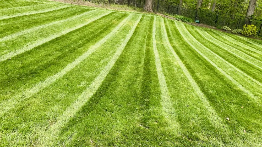 Custom garden landscaping in Annandale, VA - Guzman Landscaping