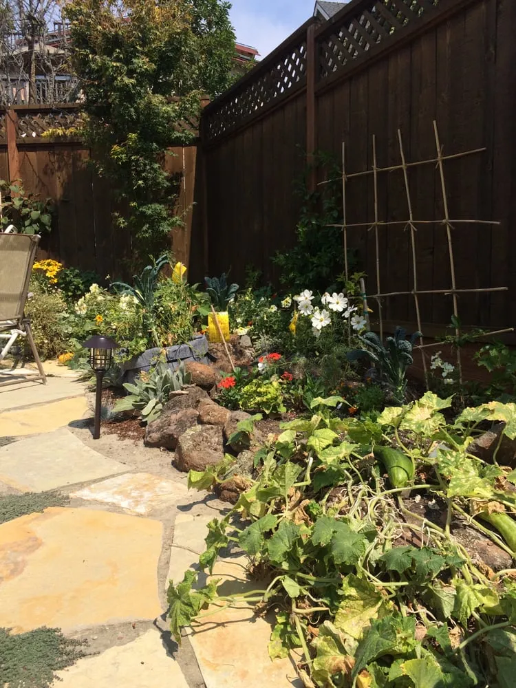 Trusted lawn care service in Oakland, CA by Guzman Landscaping By Francisco