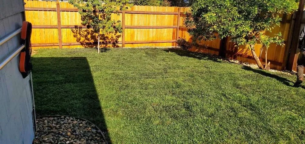Custom landscaping services for outdoor upgrades across Colfax, CA - Guzman Landscaping