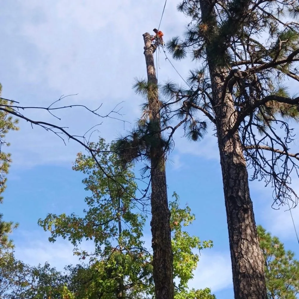 Expert lawn mowing service near you in Colfax, CA by Guzman Landscaping