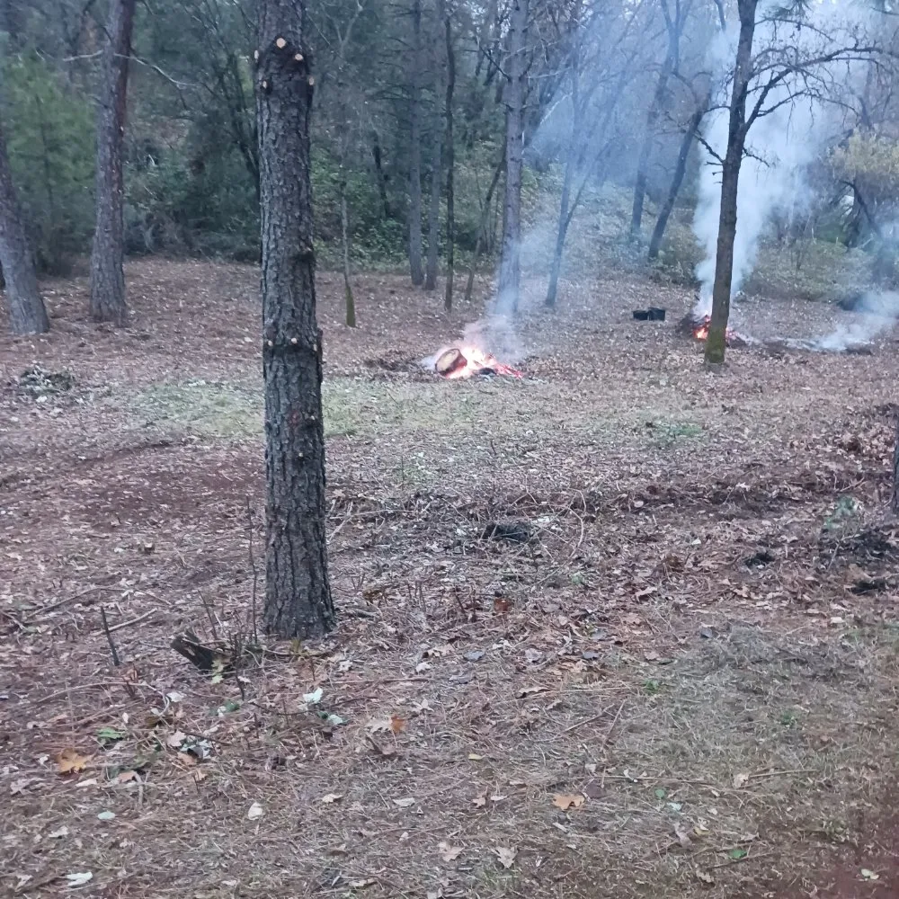 Top-rated landscape installation for residential properties in Colfax, CA by Guzman Landscaping
