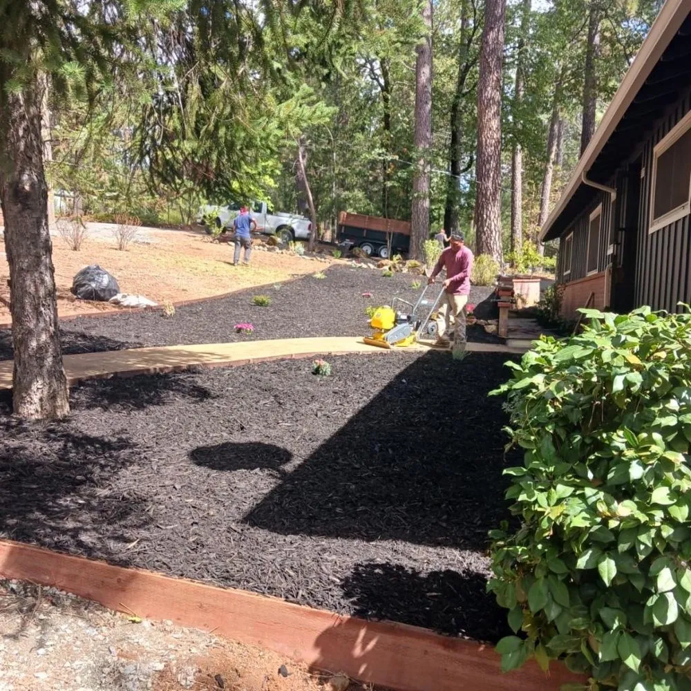 Local lawn care service for residential properties in Colfax, CA by Guzman Landscaping