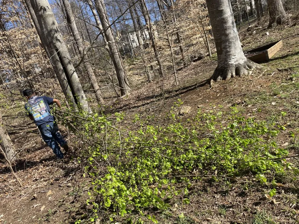 Top-rated landscape installation in Yadkinville, NC by Guzman Landscaping Enterprise
