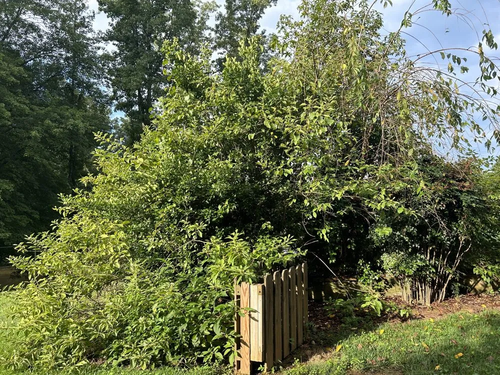 Top-rated lawn mowing service experts serving Yadkinville, NC - Guzman Landscaping Enterprise