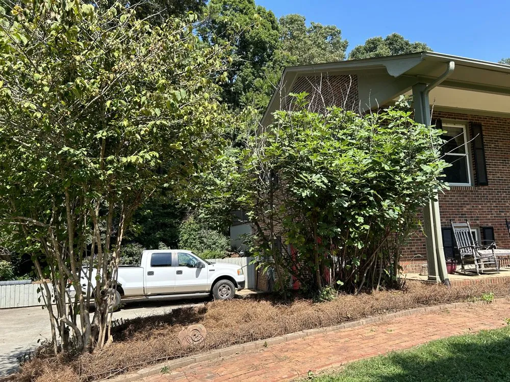 Custom yard cleanup service near you across Yadkinville, NC - Guzman Landscaping Enterprise