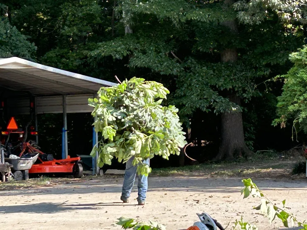 Top-rated lawn care service for residential properties across Yadkinville, NC - Guzman Landscaping Enterprise