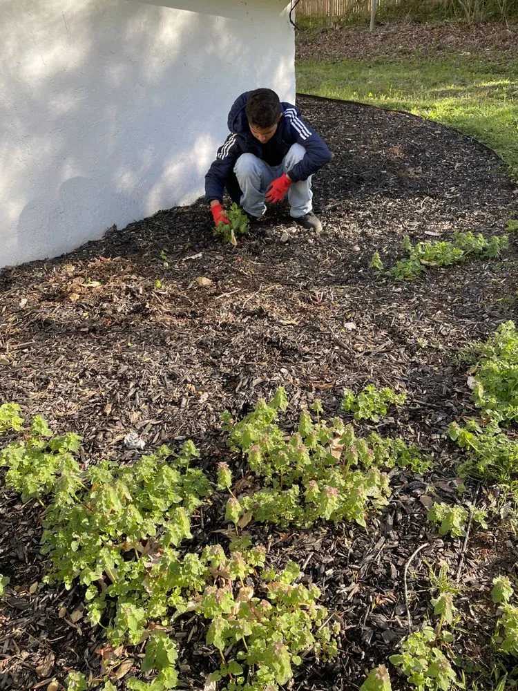 Reliable residential landscaping in Yadkinville, NC - Guzman Landscaping Enterprise