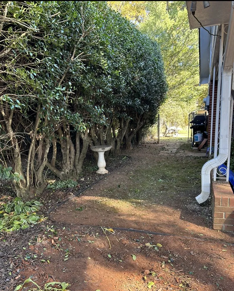 Custom landscape installation experts serving Yadkinville, NC - Guzman Landscaping Enterprise