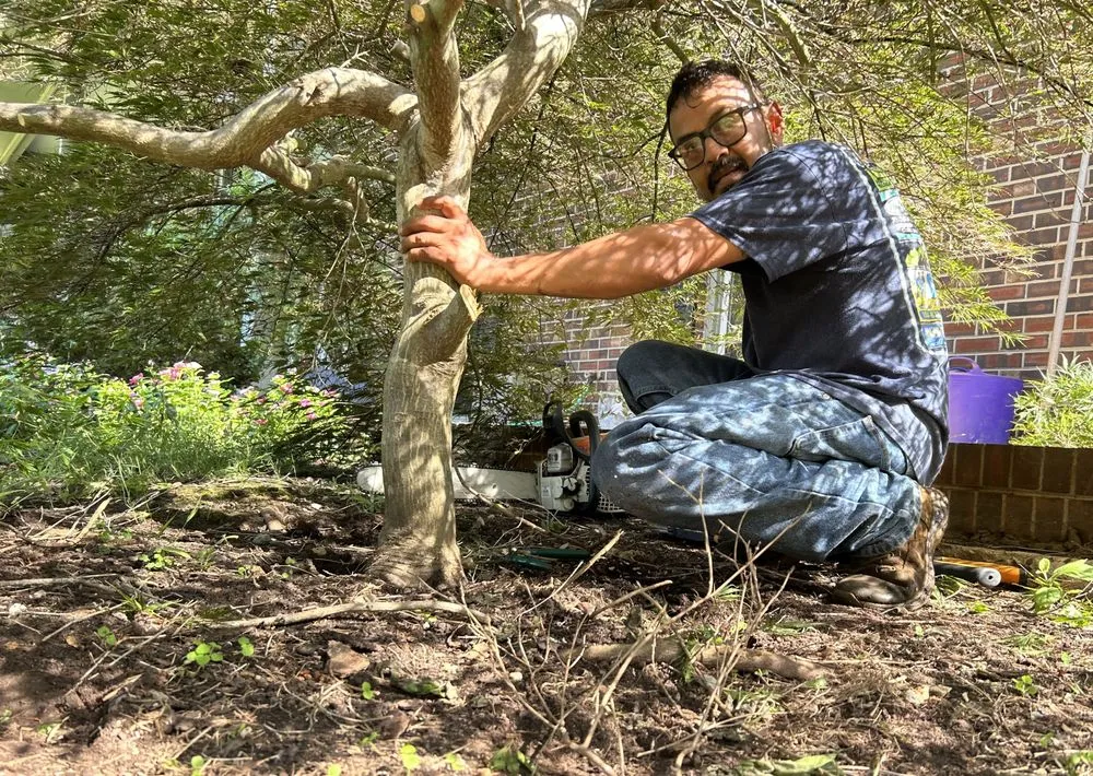 Local yard maintenance experts serving Yadkinville, NC - Guzman Landscaping Enterprise