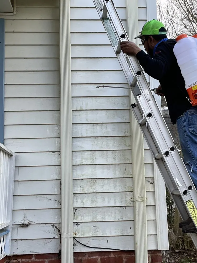 Professional outdoor landscaping for outdoor upgrades in Yadkinville, NC by Guzman Landscaping Enterprise