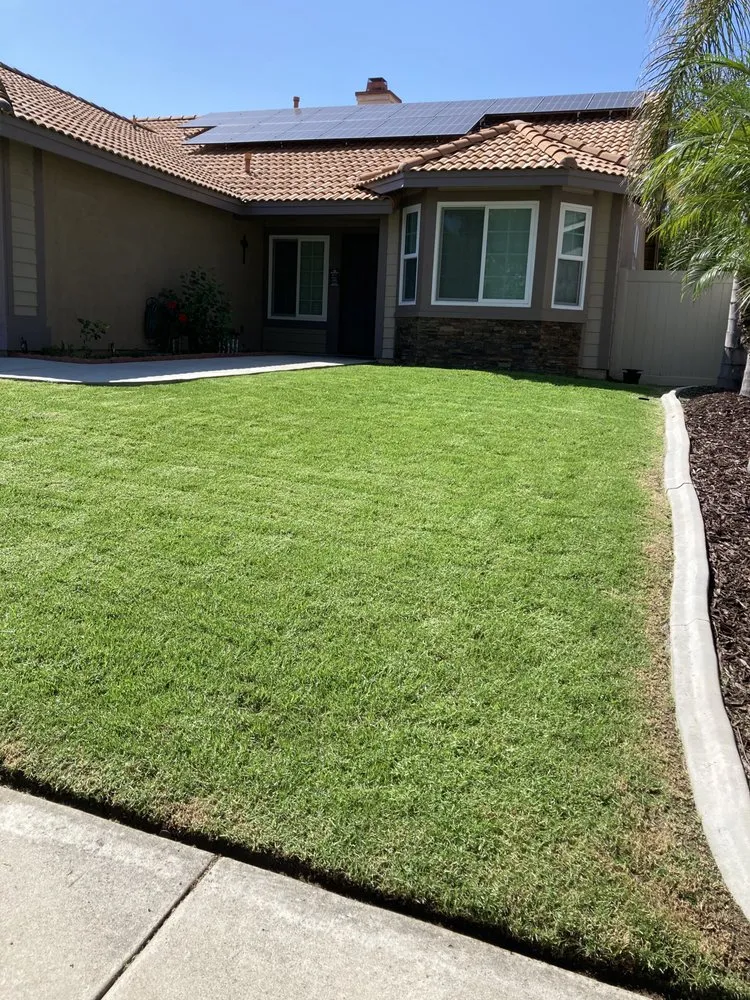 Expert yard cleanup service in Fullerton, CA by Guzman Landscaping