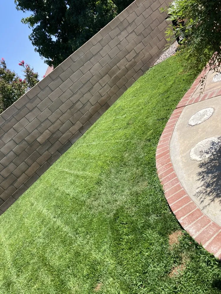 Professional yard maintenance in Fullerton, CA by Guzman Landscaping