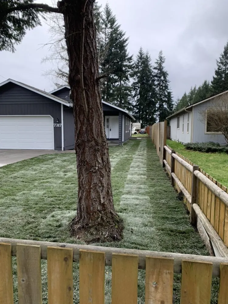 Local yard maintenance for year-round maintenance across Redmond, WA - Guzman Landscaping