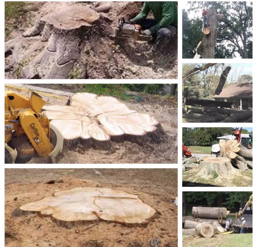 Top-rated landscape design experts serving Richmond, CA - Guzman Landscaping