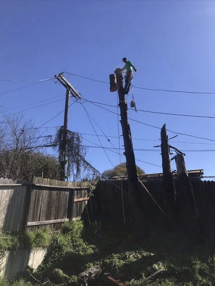 Local lawn mowing service in Richmond, CA - Guzman Landscaping