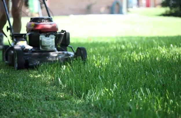 Expert yard cleanup service in Richmond, CA - Guzman Landscaping