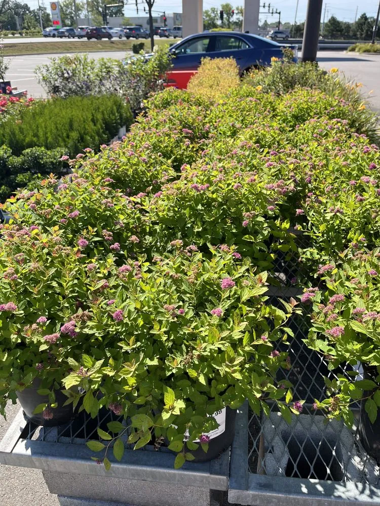 Trusted landscaping services for residential properties in Round Lake, IL by Guzman Landscaping