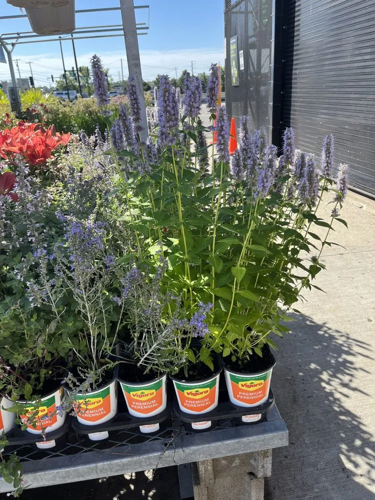 Affordable yard cleanup service experts serving Round Lake, IL - Guzman Landscaping