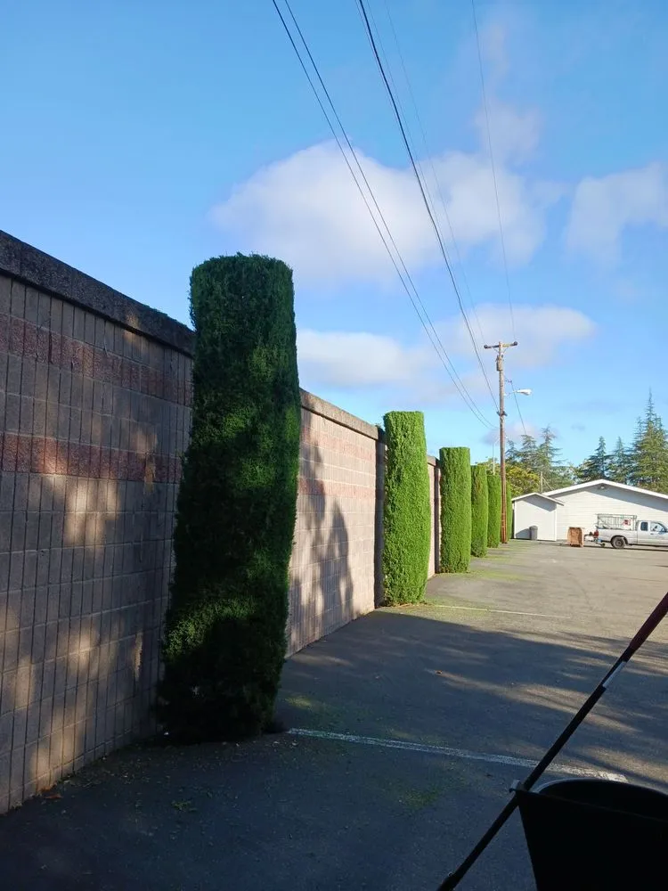 Top-rated yard maintenance in San Jose, CA - Guzman Landscaping