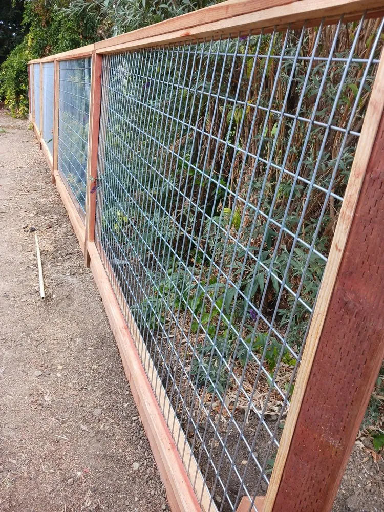 Expert lawn care service experts serving San Jose, CA - Guzman Landscaping