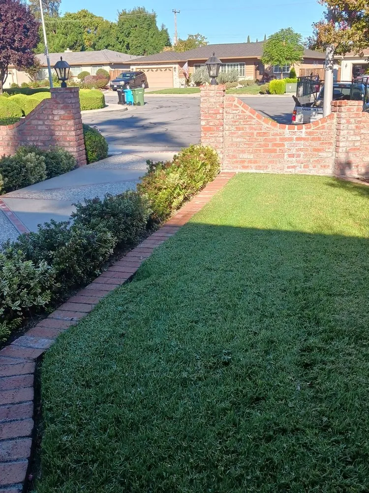 Expert residential landscaping in San Jose, CA by Guzman Landscaping