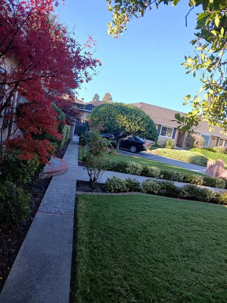 Local residential landscaping experts serving San Jose, CA - Guzman Landscaping