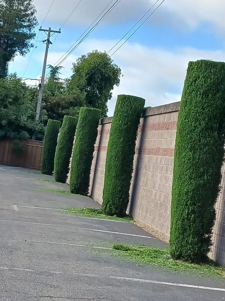 Affordable garden landscaping in San Jose, CA - Guzman Landscaping