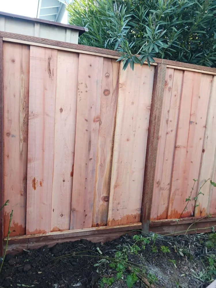 Local landscaping services in San Jose, CA - Guzman Landscaping