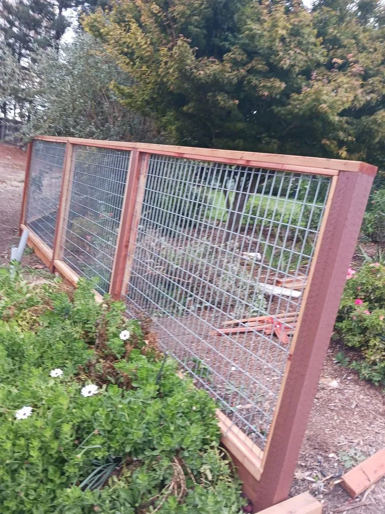 Affordable lawn mowing service with custom design in San Jose, CA by Guzman Landscaping