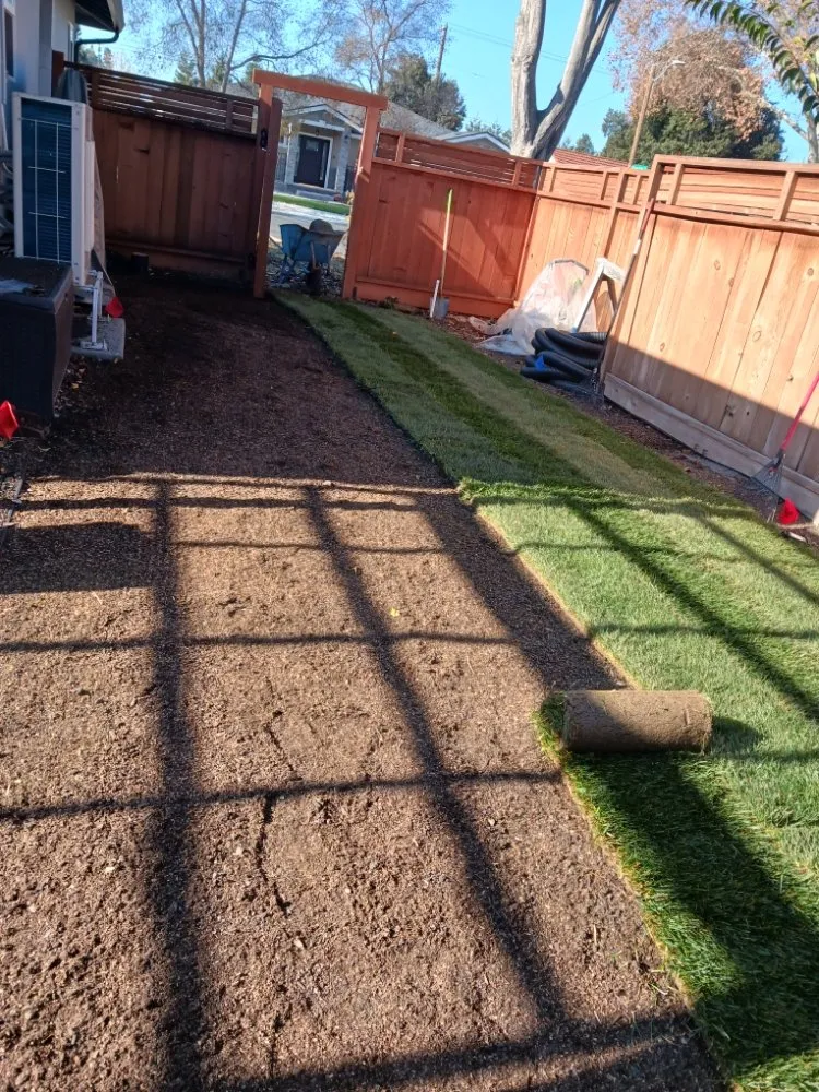 Reliable yard maintenance for homes across San Jose, CA - Guzman Landscaping