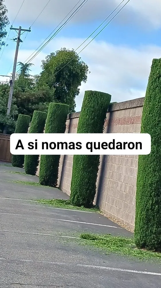 Local residential landscaping experts serving San Jose, CA - Guzman Landscaping