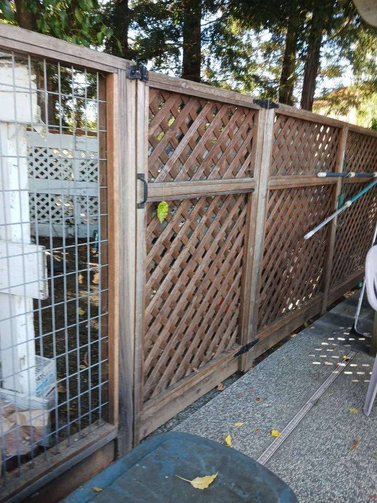 Affordable lawn care service experts serving San Jose, CA - Guzman Landscaping