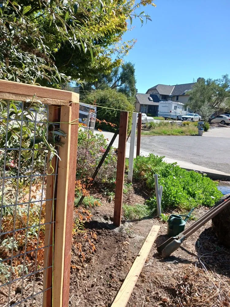 Trusted garden landscaping experts serving San Jose, CA - Guzman Landscaping