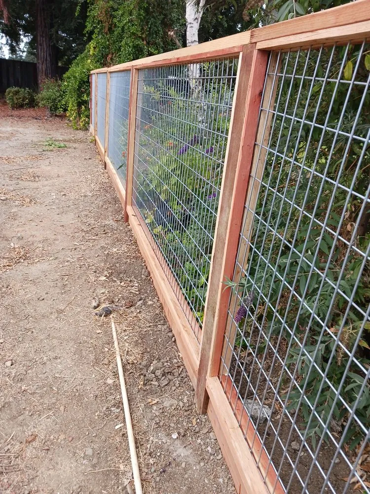 Professional lawn care service for outdoor upgrades across San Jose, CA - Guzman Landscaping