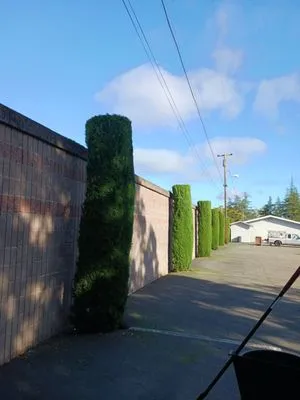 Guzman Landscaping Logo