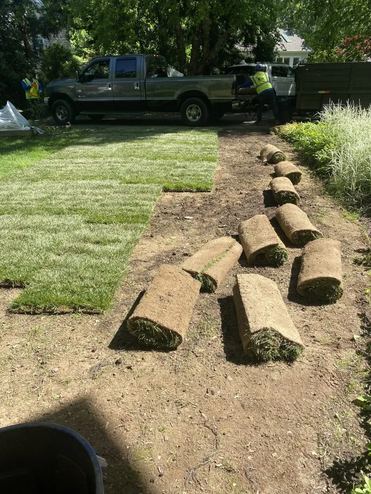 Top-rated landscape design for residential properties in Springfield, VA by Guzman Landscaping